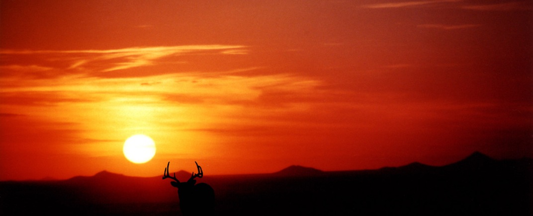 A hunter's sunset.